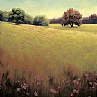 Unknown James Wiens Poppy Fields II painting